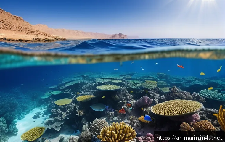 해양 온도와 염도 - A detailed underwater scene showing vibrant but partially bleached coral reefs in the Red Sea, with ...